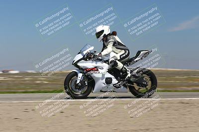 media/Mar-24-2025-2WTD (Mon) [[55b4b08488]]/C Group/1240pm (Wheelie Bump)/